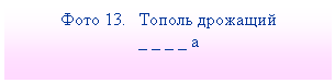 Подпись: