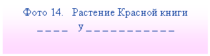 Подпись: