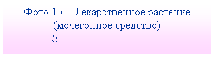 Подпись: