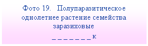 Подпись: