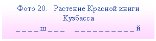 Подпись:
