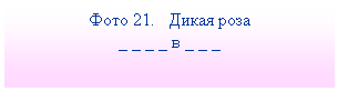 Подпись: