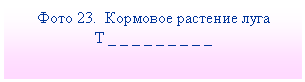 �������: ���� 23. �������� �������� ����

� _ _ _ _ _ _ _ _ _

