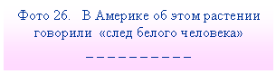Подпись: