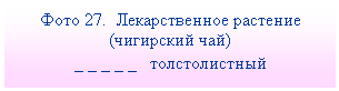 Подпись: