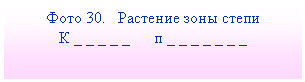 Подпись: Фото 30. Растение зоны степи
К _ _ _ _ _ п _ _ _ _ _ _ _