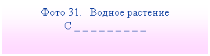 Подпись: