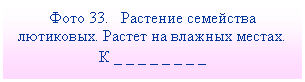 Подпись: