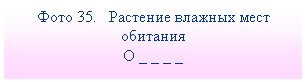�������: ���� 35. �������� <a title=