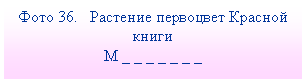 �������: ���� 36. �������� ��������� ������� ����� 

� _ _ _ _ _ _ _

