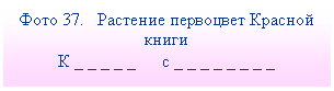 Подпись: