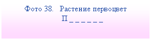 Подпись: