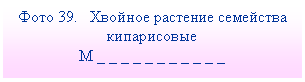 Подпись: