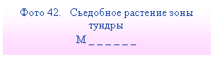 �������: ���� 42. ��������� �������� ���� ������

� _ _ _ _ _ _

