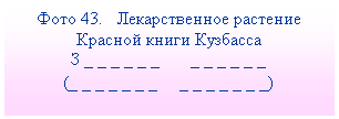 Подпись: