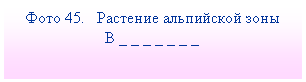 Подпись: