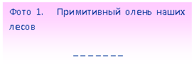 Подпись: