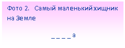 Подпись: Фото 2. Самый маленький хищник на Земле
_ _ _ _ а