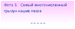 �������:
