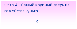 Подпись: