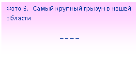 Подпись: