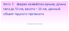 Подпись: