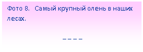�������: