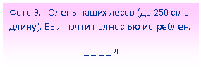 Подпись:
