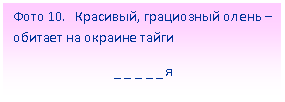 Подпись: Фото 10. Красивый, грациозный олень – обитает на окраине тайги
_ _ _ _ _ я