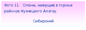 Подпись: