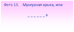 Подпись: