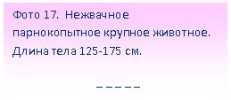 Подпись: