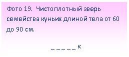 Подпись: