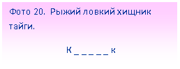 Подпись: Фото 20. Рыжий ловкий хищник тайги.
К _ _ _ _ _ к