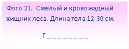 �������: