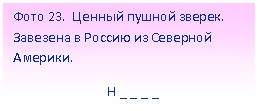 Подпись: