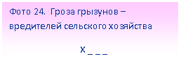 Подпись: