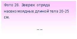 �������: