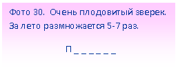 Подпись: