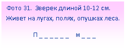 Подпись: Фото 31. Зверек длиной 10-12 см. Живет на лугах, полях, опушках леса.
П _ _ _ _ _ _ м _ _ _