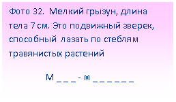 Подпись: