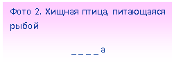 �������: