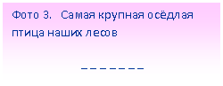 Подпись: