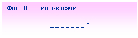 Подпись: