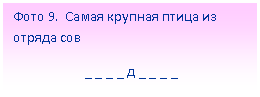 Подпись: Фото 9. Самая крупная птица из отряда сов
_ _ _ _ д _ _ _ _
_ _ _ _ _ _ ь