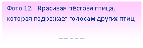 Подпись: