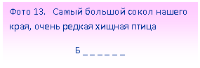 Подпись: Фото 13. Самый большой сокол нашего края, очень редкая хищная птица
Б _ _ _ _ _ _