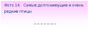 �������: ���� 14. ����� ������������ � ����� ������ �����

 _ _ _ _ _ _ _

