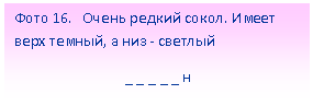 �������: ���� 16. ����� ������ �����. ����� ���� ������, � ��� - �������

 _ _ _ _ _ �

