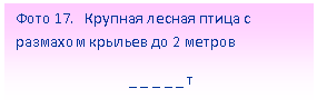 Подпись: